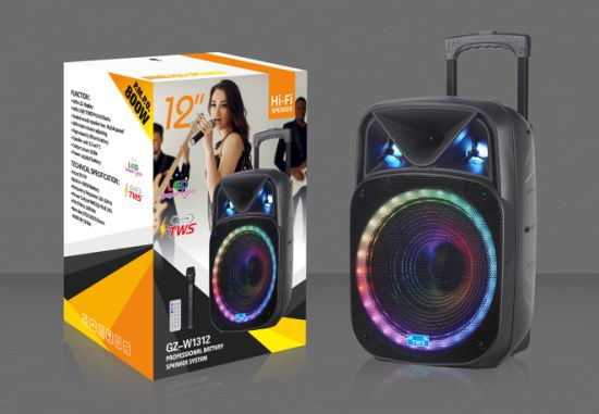 12-inch-wireless-speaker-have-stock-with-trolley-and-light-gz-w1312_2_