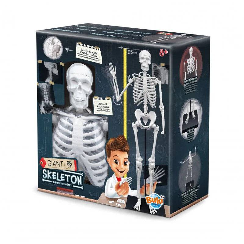 buki-skeleton
