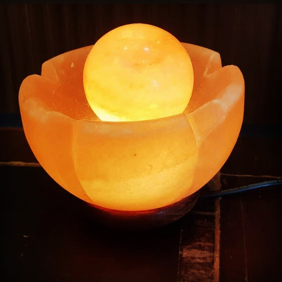 img-20201228-wa0010_1_