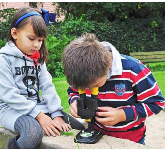 מיקרוסקופים מומלצים לילדים
