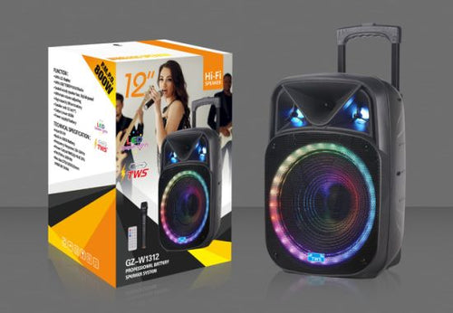12-inch-wireless-speaker-have-stock-with-trolley-and-light-gz-w1312_2_
