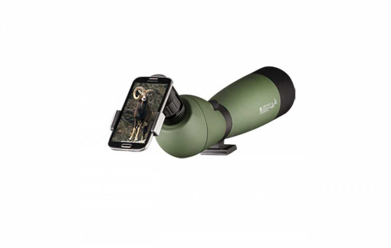 1481554195_optimized.8881_bg_14579712922-_1_