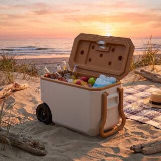 צידנית איכותית עם גלגלים 38 ליטר COOL TREK - גאדג'ט-ליין