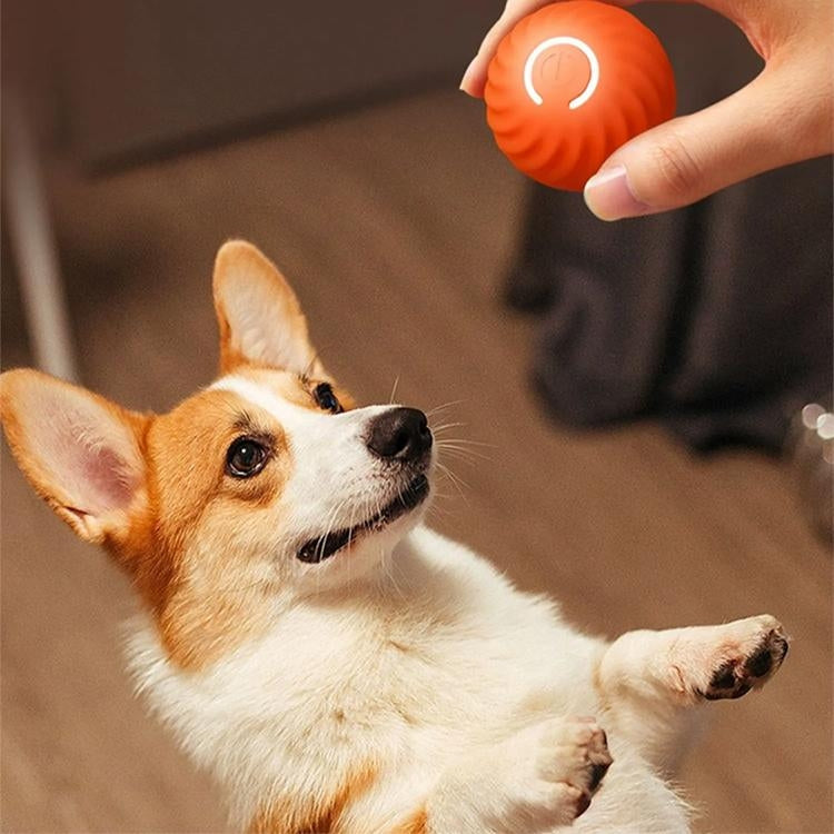 dog-toy-rolling-chew-ball1