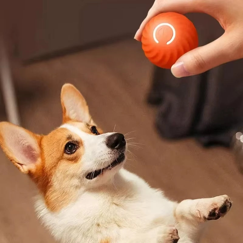 dog-toy-rolling-chew-ball2