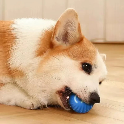 dog-toy-rolling-chew-ball5