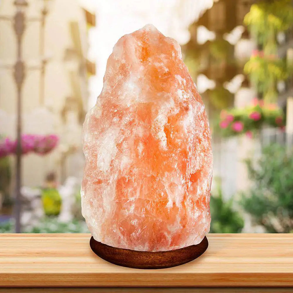 fab-glass-and-mirror-novelty-lamps-sl-nas10-l-c3_1000