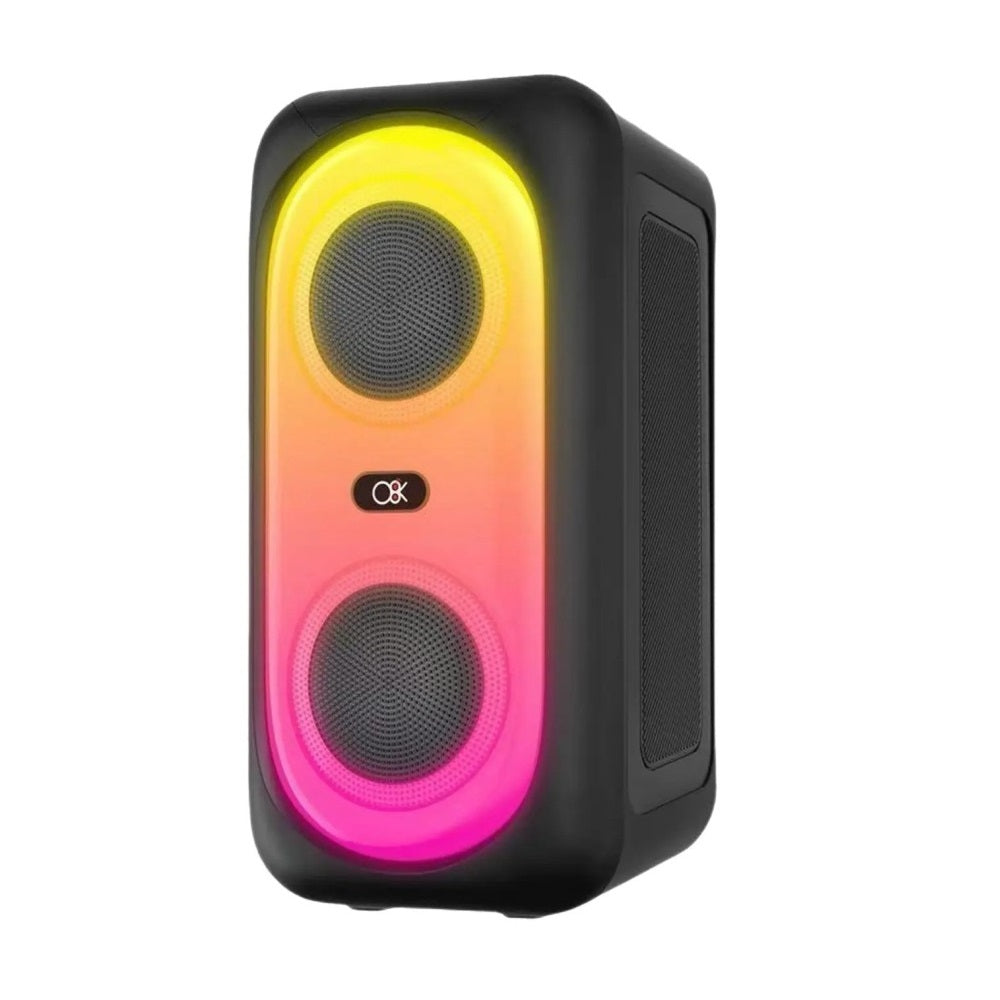 karaoke-speaker-bt2453