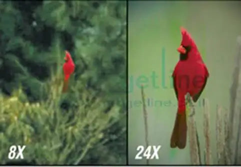 card-image