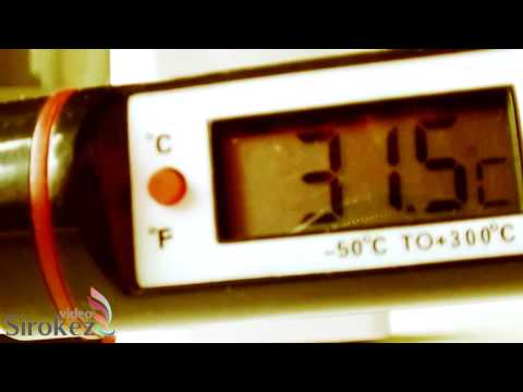 מד חום דיגיטלי למזון