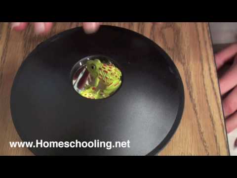 משחק אשליות אופטי