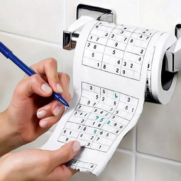 sudoku-puzzle-toilet-roll-toy-geekyget_grande_result