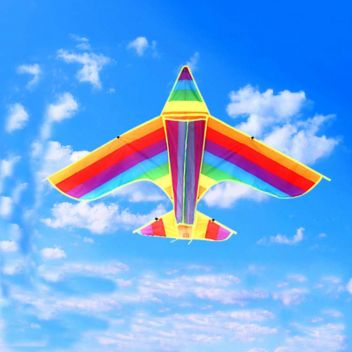 עפיפון בצורת מטוס צבעוני