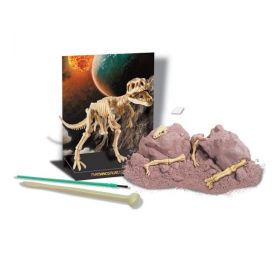 ערכת ארכיאולוג ביצת דינוזאור
